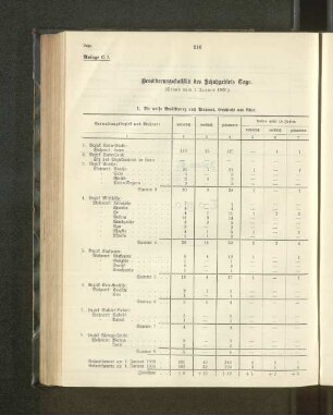 Bevölkerungsstatistik des Schutzgebiets Togo.