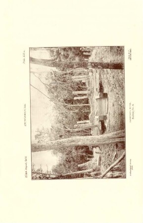 Plate XII. A. Pankuliya ruins. Building No. 8.