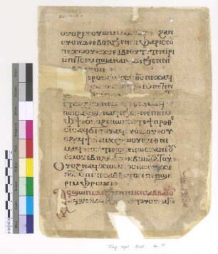 Lk. VI, 1 - 8