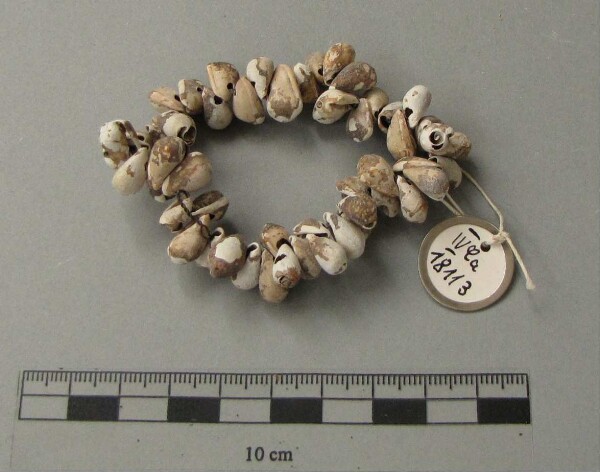 Jewellery necklace made from porcelain snail shells