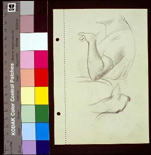 Arm-und Haltungstudie