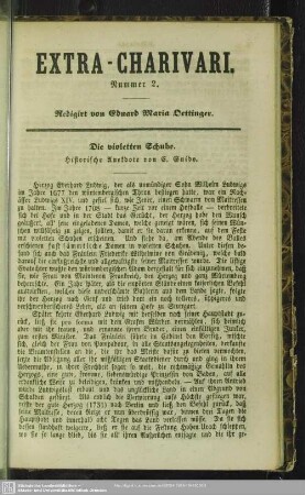 Die violetten Schuhe