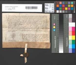 Notariatsinstrument über die Auslieferung des Pfandbriefes von Heinrich Vogt zu Neersen an Junker Johann, Junggraf von Salm-Reifferscheid.