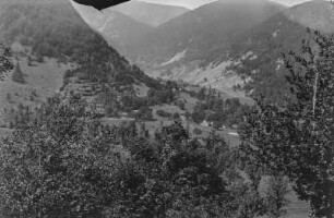 Bergpanorama : Blick auf Waldflächen an den Berghängen und auf einzelnen Baumbestand im Tal auf Wiesengrund