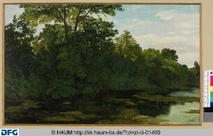 Riddagshäuser Teich
