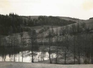 Im Naturschutzgebiet Bienhof. Im Mordgrund bei Oelsen-Bienhof, Mühlteich