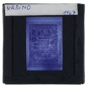 Urbino, Palazzo Ducale : Wappenrelief