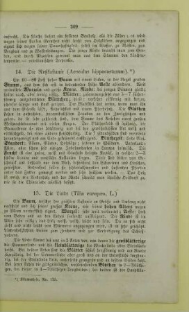 14. Die Roßkastanie (Aesculus hippocastanum)