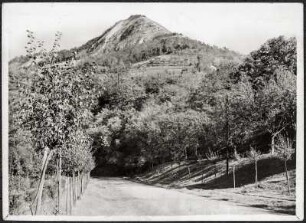 Blick zum Jenzig