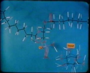 Biochemie - Niedermolekulare Verbindungen V