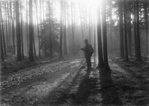 Jäger im Wald