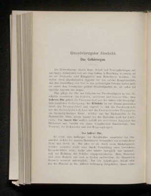 Einundvierzigster Abschnitt. Das Gehörorgan.