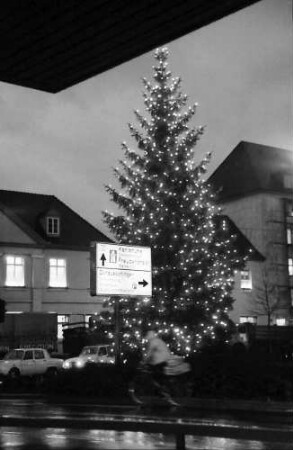 Freiburg: Tannenbaum mit Verkehrsschild, Blick vom Platz am Siegesdenkmal