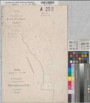 Assinghausen (Olsberg), Separation Assinghausen, Bl.9 Brouillonkarte I Gem. Bruchhausen, Flur 9
