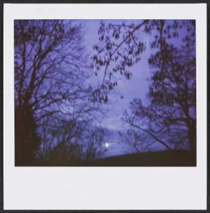 Vollmond zu Silvester über Mahlberg