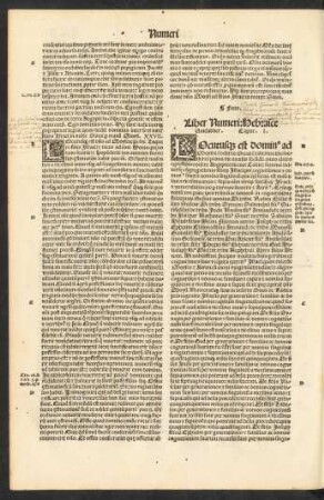 Liber Numeri: Hebraice Vaidabber.
