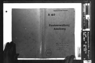 Renovation der Steinbeschreibung in Eschenbacher und Schlater Hut