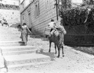 Dubrovnik, Frau mit Esel als Lasttier