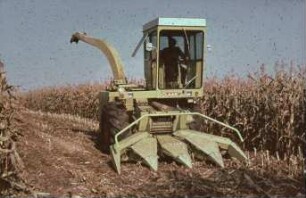 Fotografie: Futtererntetechnik, Maissilage, Feldhäcksler selbstfahrend, Maisgebiss