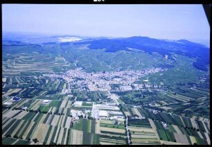 Ihringen: Ihringen Gesamtbild von Süden