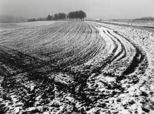 Winterlicher Acker,