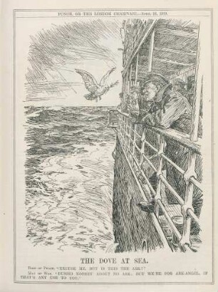 The dove at sea