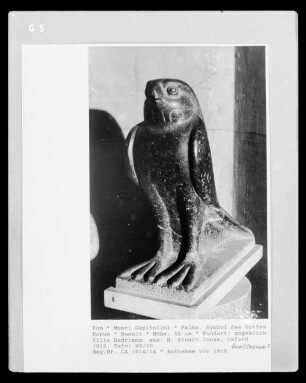 Falke, Symbol des Gottes Horus