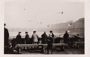 Kinder füttern Möwen an der Binnenalster