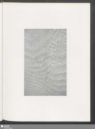 Zurücklaufendes flaches Wasser, Lichtreflexe, kleine Wirbel, durchscheinender Sand, Schaumklöße (von oben gesehen)