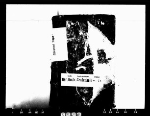 Gerichtshandelsbuch von Frauenhain, Bd. 1