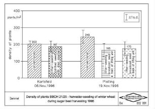 Density of plants BBCH 21/25, harvester-seeding of winter wheat during sugar beet harvesting 1996