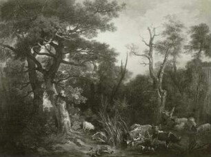 Herde im Wald