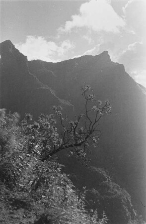 Abfall des Simien Gebirges : Blick von der Bergstraße auf den Abfall des Simien Gebirges bei Debark.