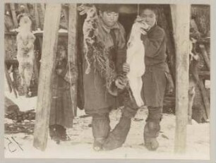 Erhängte Hunde (Sammlung Bronislaw Pilsudski, 1887-1905)