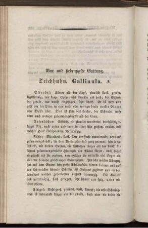 Vier und siebenzigste Gattung. Teichhuhn. Gallinula. N.