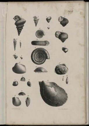 Fig. 1-26