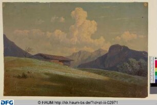 Wieselandschaft mit Alm