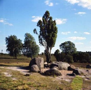 Lüneburger Heide. Vorzeitliches Grab, der Billungstein bei Wilsede (Hannibals Grab)