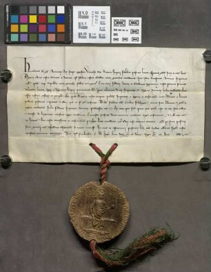 Friedberg: König Heinrich VII. Bestätigung der Privilegien