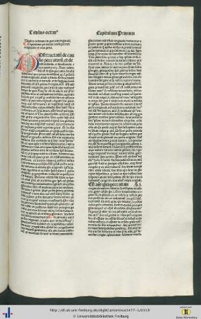 Titulus octavus