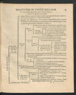 Tractatus III. Partis Specialis.