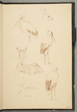 Rehe und Störche