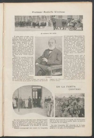 Profesor Rodolfo Virchow