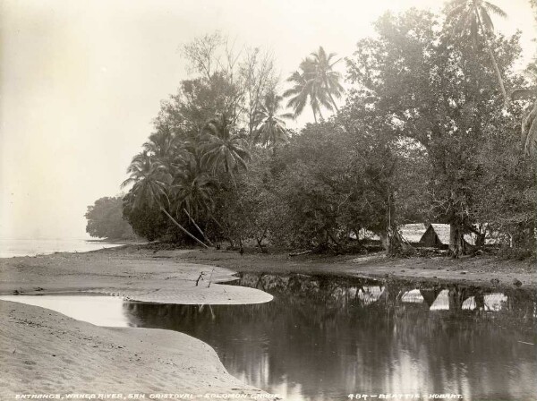 "L'embouchure de la rivière Wango."