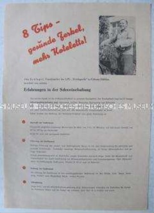 Propagandaflugblatt der LPG "Weidaperle" Göhren/Döhlen mit einem Aufruf zur Verbesserung der Schweinezucht