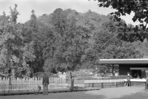 Bauliche Sicherung des Wasserbehälters im Lauterberg