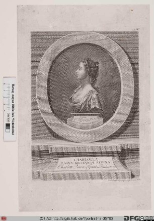 Bildnis Charlotte (Sophie Ch.), Königin von Großbritannien u. Irland, geb. Prinzessin von Mecklenburg-Strelitz