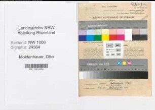 Entnazifizierung Otto Moldenhauer, geb. 20.01.1892 (Ingenieur)