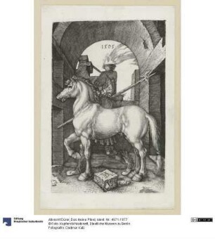 Das kleine Pferd