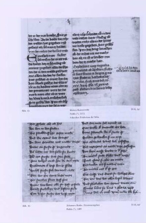 Abb. 16. Johannes Rothe, Fürstenratgeber, Fulda (?), 1409, D 31,64v